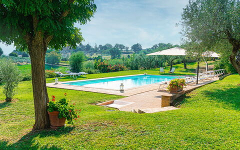 Villa di Morice 14: Svømmepøl, Have, Udvej, Lawn, Estate, Hacienda, Eco Hotel, Landscaping, Skygge, Backyard