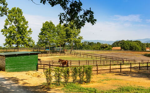 Villa Elisa 16: Landskab, Landdistrikt, Hegn, Pasture, Ranch, Skygge, Mark, Farm, Parkere
