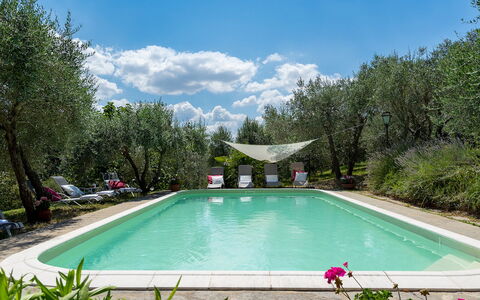 Villa Fiorentini 10: Svømmepøl, Udendørs Møbler, Have, Backyard, Stol, Gård, Landscaping, Udvej, Skygge, Hacienda