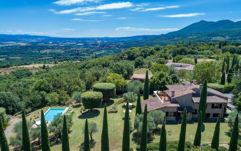 Villa Il Cedro 10+1: Vegetationen, Naturlige Landskab, Landskab, Land Lot, Landdistrikt, Bunddække, Hill Station, Eng, Plantation, Estate