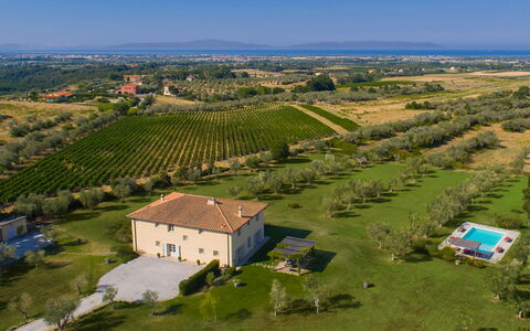 Villa Il Meluccio 12: Græs, Almindeligt, Landskab, Græs-, Landdistrikt, Land Lot, Mark, Plantation, Estate, Eng