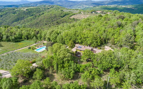 La Cerqua 8: Træ, Naturligt Miljø, Vegetationen, Landskab, Landdistrikt, Fugleperspektiv, Land Lot, Skov, Hill Station, Plantation