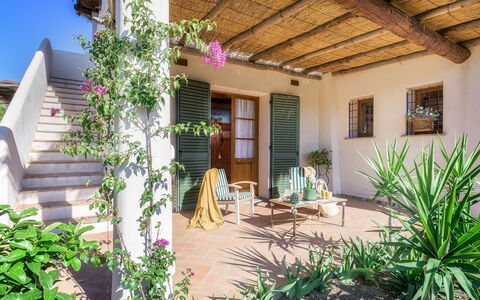 Villa Zaca 6: Blomsterkrukke, Hjem, Have, Dør, Skygge, Stueplante, Landscaping, Hacienda, Backyard