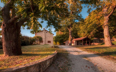 Casale del Castagneto 8: Træ, Afdeling, Græs, Blad, Natur, Hus, Sommerhus, Hjem, Landskab, Tag