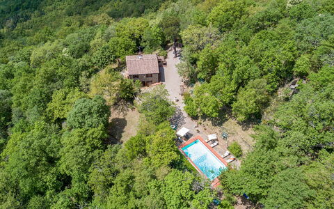 Casa Largnano 6+2: Træ, Naturligt Miljø, Natur, Vegetationen, Landskab, Landdistrikt, Hus, Skov, Plantesamfund, Sommerhus