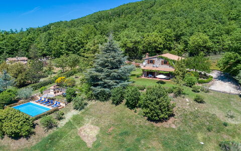 Villa Paola 6: Landskab, Landdistrikt, Estate, Hill Station, Skov, Eco Hotel, Fugleperspektiv, Jungle, Plantation, Landscaping