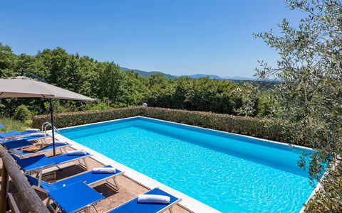 Villa Paola 6: Blå, Svømmepøl, Udvej, Udendørs Møbler, Eco Hotel, Liggestol, Ferieby, Hotel, Hacienda, Villa