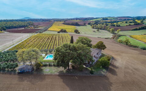 Casale le Tre Querce 8+1: Træ, Landskab, Boligområde, Almindeligt, Hus, Fugleperspektiv, Land Lot, Landdistrikt, Hjem, Menneskelig Bosættelse