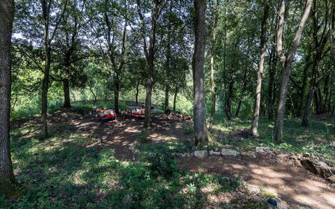 Villa Rinaldi 6: Blad, Træ, Naturligt Miljø, Træ, Afdeling, Vegetationen, Skov, Lund, Woodland, Plantesamfund