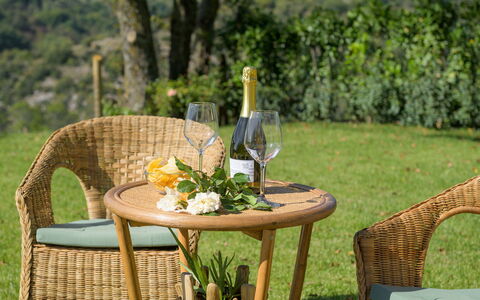 Casale Tavernelle 6: Møbel, Udendørs Møbler, Stol, Bord, Udendørs Bord, Wicker, Have, Bejdse, Gårdhave, Kaffebord