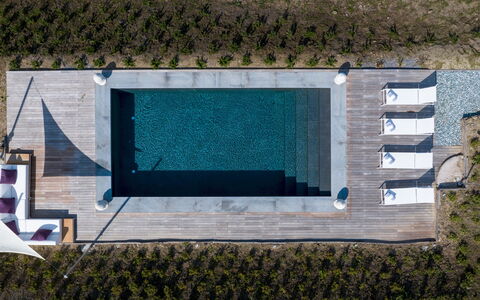 Anticiana 8: Svømmepøl, Kompositmateriale, Hårdttræ, Trægulve, Planke, Walkway, Udendørs Møbler, Dæk, Water Feature, Udvej