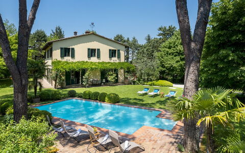 Villa Paesante 8: Busk, Hjem, Svømmepøl, Estate, Have, Sommerhus, Villa, Stuehus, Lawn, Udvej