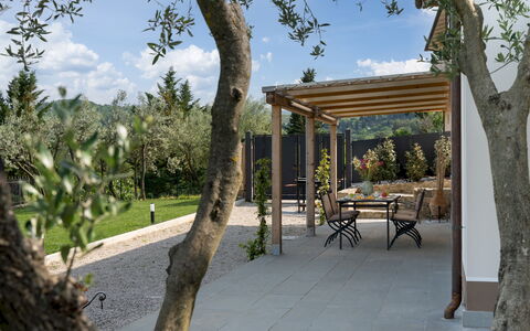 Terrazza sulla Valle 4+2: Træ, Skygge, Udendørs Møbler, Land Lot, Have, Landscaping, Udendørs Struktur, Backyard, Pergola, Gård