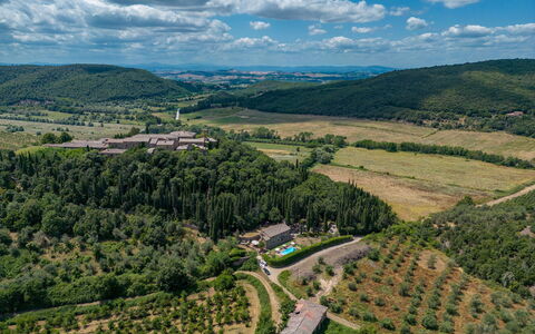 Podere Montioni 6+2: Naturligt Miljø, Landskab, Vegetationen, Fugleperspektiv, Naturlige Landskab, Highland, Landdistrikt, Luftfotografering, Land Lot, Hill Station