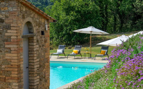 Villa Il Pozzo 14: Busk, Svømmepøl, Estate, Have, Sommerhus, Hacienda, Stuehus, Landscaping, Udendørs Møbler, Villa