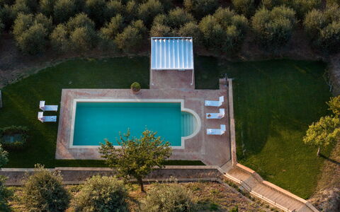 Villa Binetti 7: Svømmepøl, Udvej, Thermae, Have, Water Feature, Estate, Lawn, Landscaping, Reflekterende Pool, Backyard