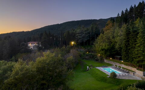 Villa la Rassinata 8: Landskab, Skov, Hill Station, Lærk, Jungle, Landscaping, Tropisk Og Subtropisk Nåleskov, Evergreen