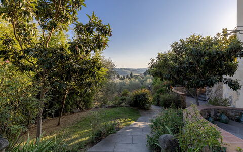 Villa Treggiaia 12+2: Vegetationen, Busk, Landskab, Plantesamfund, Have, Sollys, Landscaping, Botanisk Have, Chaparral