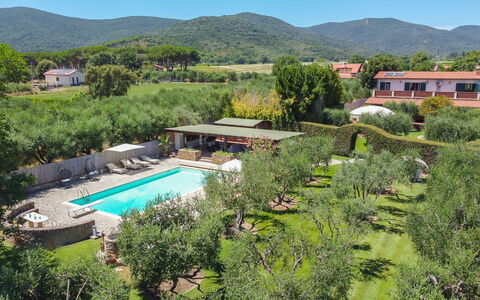 Villa Castiglione 9: Udvej, Svømmepøl, Eco Hotel, Have, Hacienda, Estate, Stuehus, Landscaping, Skygge, Villa