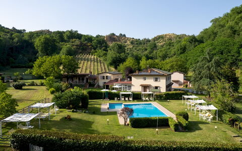Valleverde 28+2: Mad, Plantation, Backyard
