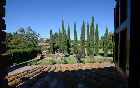 La Magia 8+2: Busk, Have, Landscaping, Evergreen, Pine Family, Hæk
