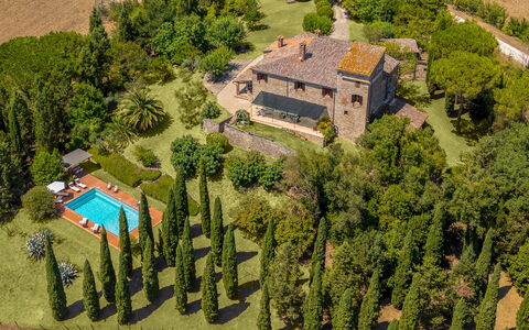 Villa la Pizzichina 10: Busk, Estate, Have, Mansion, Villa, Hacienda, Landscaping, Hæk, Stuehus, Plantation