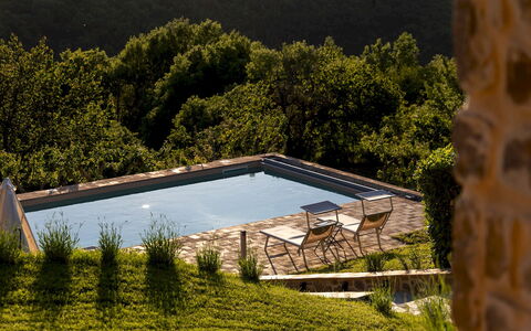 Poggio delle Lumie 6: Svømmepøl, Udendørs Møbler, Have, Liggestol, Landscaping, Backyard, Eco Hotel, Chaiselong, Stuehus, Villa