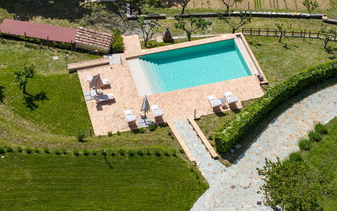 Poggio delle Lumie 6: Svømmepøl, Have, Lawn, Landscaping, Udvej, Plantation, Eco Hotel, Backyard, Kunstgræs, Udendørs Møbler
