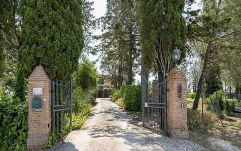 Podere Casanovina 12: Busk, Have, Port, Estate, Indkørsel, Landscaping, Hacienda, Evergreen, Hegn