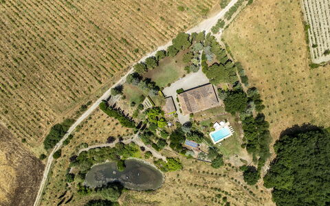Podere Casanovina 12: Træ, Landskab, Fugleperspektiv, Boligområde, Luftfotografering, Landdistrikt, Svømmepøl, Estate, Plantation, Landscaping