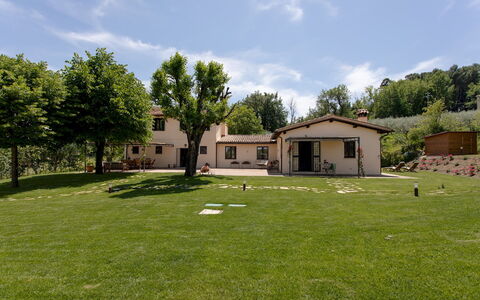La Collina degli Ulivi 8+2: Græs, Hus, Landskab, Boligområde, Hjem, Almindeligt, Landdistrikt, Land Lot, Lawn, Sommerhus