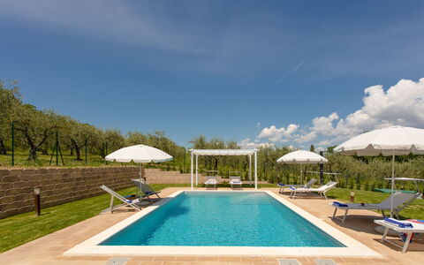 La Collina degli Ulivi 8+2: Svømmepøl, Udendørs Møbler, Udvej, Liggestol, Have, Eco Hotel, Thermae, Landscaping, Estate, Hacienda