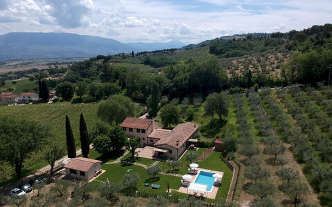 La Collina degli Ulivi 8+2: Mad, Plantation, Landbrug, Estate, Fugleperspektiv, Stuehus, Bjerglandsby, Luftfotografering, Farm