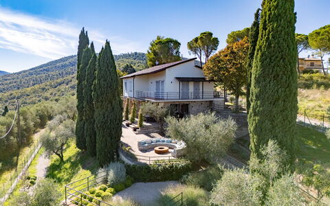 Casa dei Fiamminghi 10+2: Træ, Vegetationen, Busk, Plantesamfund, Have, Estate, Landscaping, Stuehus, Evergreen