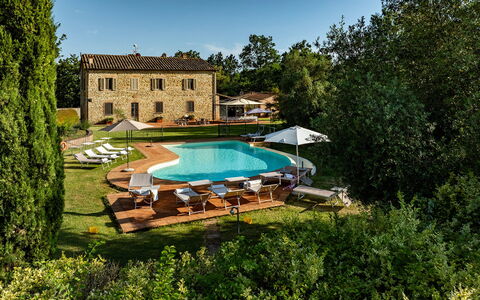 Podere Sant'Eugenio 14: Svømmepøl, Estate, Stuehus, Hacienda, Plantation, Landbrug, Villa, Eco Hotel, Farm, Udvej