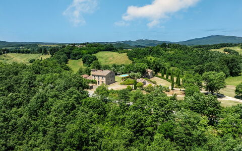 Podere Sant'Eugenio 14: Træ, Græs, Landskab, Landdistrikt, Almindeligt, Græs-, Land Lot, Menneskelig Bosættelse, Estate