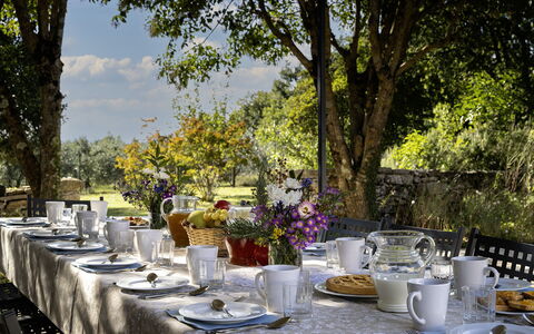 Il Castellare 14: Bordservice, Møbel, Bord, Dug, Serveware, Drinkware, Have, Tallerkner, Udendørs Bord