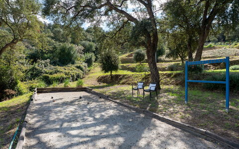 Villa Perelle 8: Træ, Offentlige Rum, Fritid, Fritid, Skygge, Parkere, Jord, Sti, Woodland