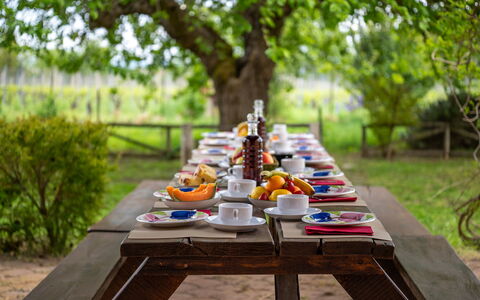 Sangiovese 14: Bordservice, Bord, Møbel, Mad, Udendørs Møbler, Have, Udendørs Bord, Serveware, Morgenmad, Picnic