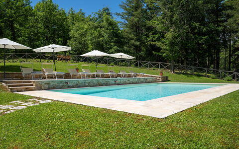 Villa Palazzolo 8: Svømmepøl, Have, Udvej, Landscaping, Lawn, Skygge, Eco Hotel, Parkere, Udendørs Møbler, Backyard