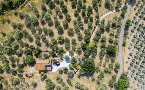 Casale le Lupe Apartments: Træ, Landskab, Landdistrikt, Land Lot, Fugleperspektiv, Plantation, Luftfotografering, Landsby, Landscaping, Farm