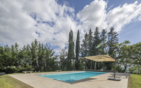 Casa Clara Pool, Casole Elsa, Monti: Blå, Svømmepøl, Skygge, Have, Landscaping, Evergreen, Lærk, Eco Hotel