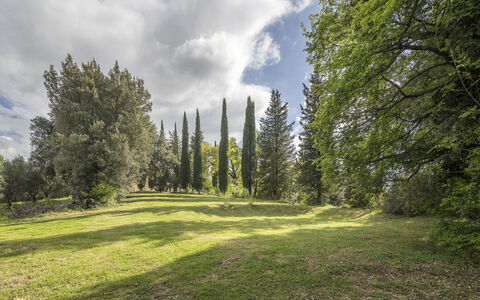 Casa Clara Pool, Casole Elsa, Monti: Blad, Græs, Træ, Naturligt Miljø, Natur, Grøn, Afdeling, Vegetationen, Naturlige Landskab, Busk