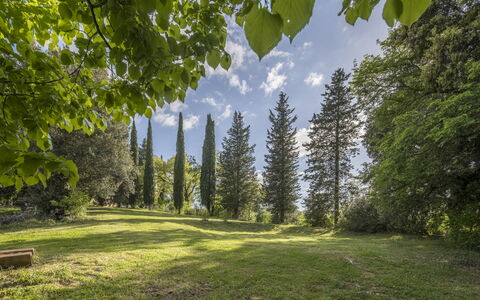 Casa Clara Pool, Casole Elsa, Monti: Blad, Træ, Natur, Grøn, Naturligt Miljø, Afdeling, Vegetationen, Naturlige Landskab, Busk, Plantesamfund