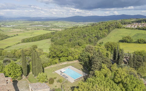 Casa Clara Pool, Casole Elsa, Monti: Landskab, Estate, Landscaping, Plantation, Stuehus, Villa, Hacienda, Svømmepøl, Evergreen
