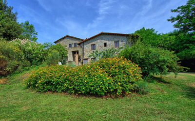 Montescalari
