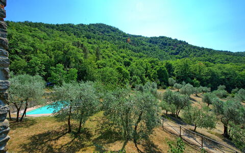 Poggio Conca: Vegetationen, Natur, Ødemark, Naturreservat, Naturligt Miljø, Bjergrige Landskabsformer, Træ, Bjerg, Biome, Hill Station
