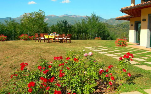 Villa Saida: Naturlige Landskab, Have, Blomst, Ejendom, Botanisk Have, Gård, Plante, Botanik, Forår, Ødemark