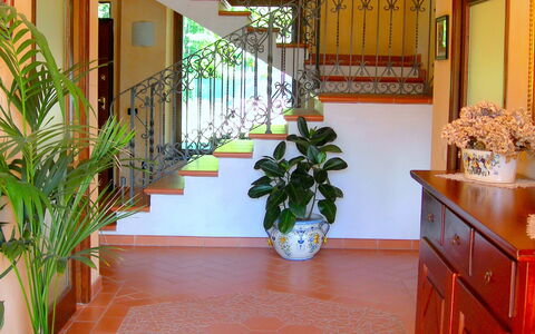 Villa Saida: Ejendom, Etage, Værelse, Bygning, Stueplante, Lobby, Indretning, Flise, Ejendom, Gulvbelægning