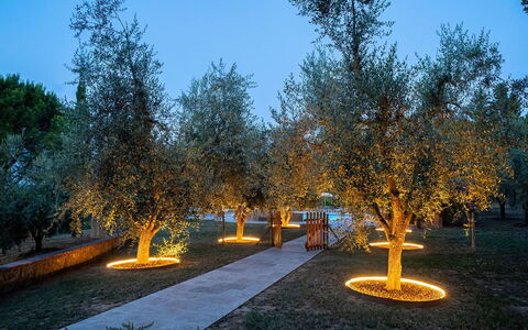 Montelopio: Himmel, Plante, Vejbelægning, Naturlige Landskab, Afdeling, Lærk, Græs, Træ, Asfalt, Offentlige Rum